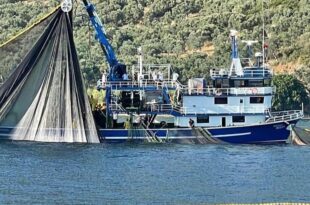 Kapaklı ve Narlı'da Deneme Ağları Atıldı