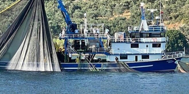 Kapaklı ve Narlı'da Deneme Ağları Atıldı