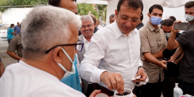 İmamoğlu’ndan Gemlik Zeytinine Övgü