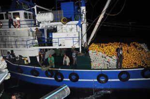 Gemlikli Balıkçılar Çifte Bayram Yaşayacak