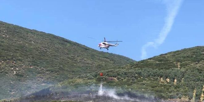 Gemlik'te orman yangını kontrol altına alındı