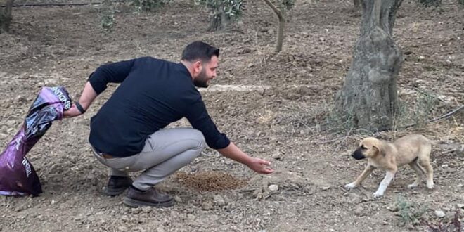 Gençlik Meclisi can dostlar için mama dağıttı