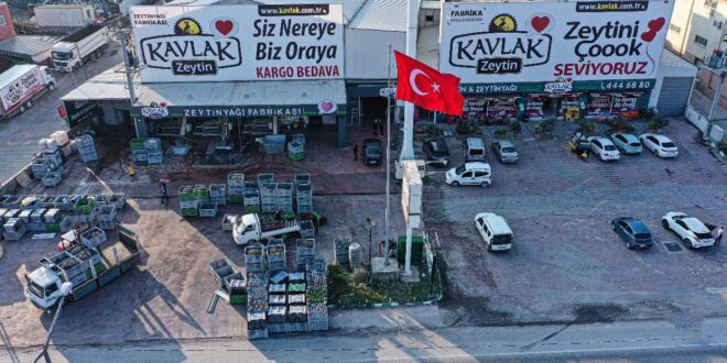 Kavlak yağlık zeytini 7 TL yaptı…