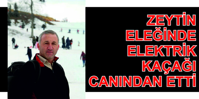 Gemlik'te Zeytin Eleğindeki Elektrik Kaçağı Canından Etti