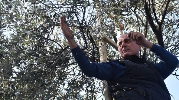 Sertaslan’dan Marmarabirlik’e fiyat güncellemesi çağrısı
