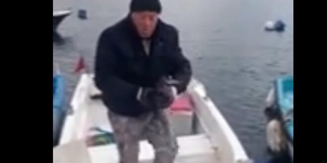 Denizde Yaralı Bulunan Karabatak Veterinere Teslim Edildi