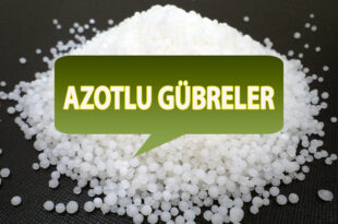 Azotlu Gübre Nedir?