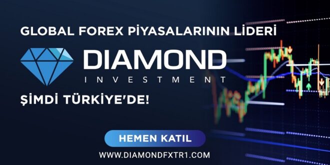 Türkiye'nin En İyi Forex Şirketleri Hangileri?