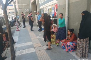 Gemlik Zabıta Ekiplerinden " Tırnakçılara " Anında Müdahale...