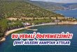 Bu Vebali Ödeyemezsiniz!