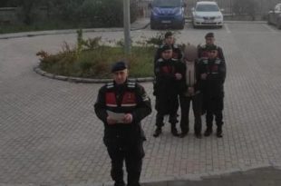 Gemlik'te 11 yıl kesinleşmiş hapis cezası bulunan şahıs, gizlendiği ormanda jandarmaya yakalandı