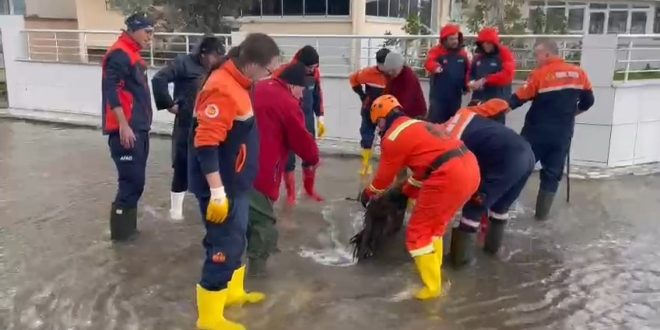 Kurşunlu'da felaketin yaraları sarılıyor