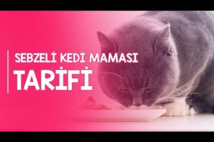 Sebzeli Kedi Maması Çeşitleri Neler?