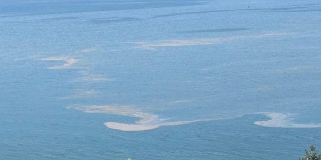 Marmara Denizi'nde müsilaj endişesi