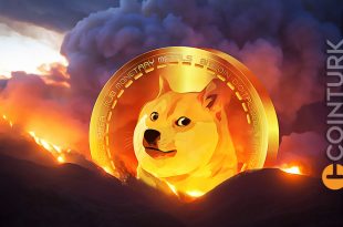 Dogecoin de Dikkat Çeken Hareketlilik: DOGE Kaç Dolar Oldu?
