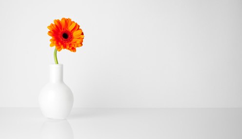 Minimalist Yaşam Felsefesi: Sade ve Anlamlı Bir Yaşam