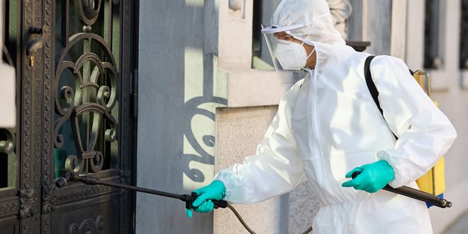 Evdeki Zararlıları Önlemek İçin Etkili Böcek İlaçlama İpuçları