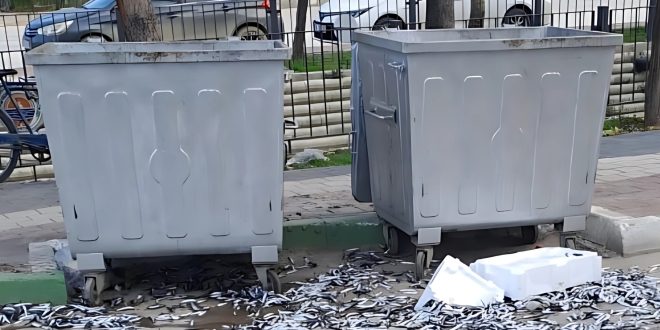 Şehir barbarı bozuk balıkları yola döktü