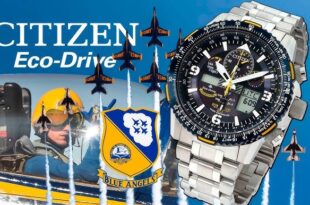 Citizen Erkek Saat