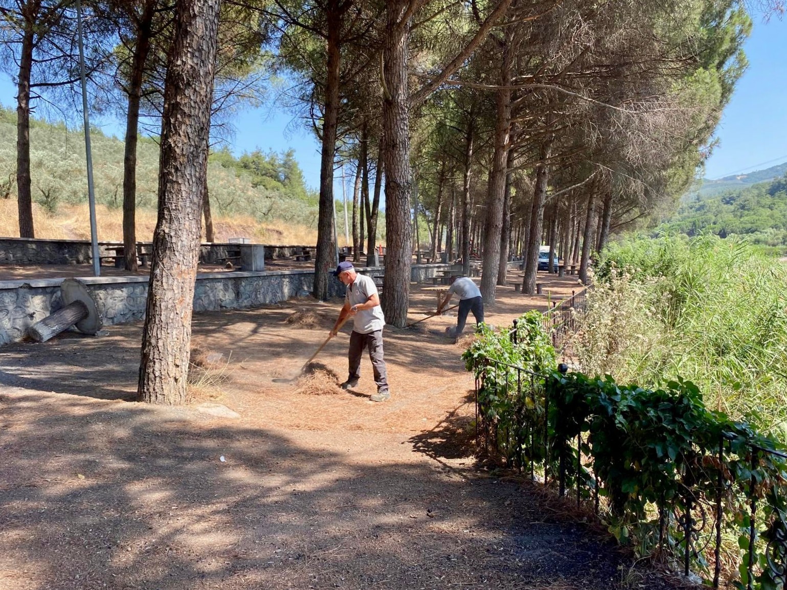 Kurtul Piknik Alanı'nda Kapsamlı TemizlikGemlik Belediyesi, Kurtul Piknik Alanı’nda vatandaşların daha temiz, güvenli ve konforlu bir ortamda vakit geçirebilmesi için kapsamlı bir temizlik ve bakım çalışması gerçekleştirdi.
Çalışmalar kapsamında; tuvaletlerin çevresindeki otlar biçildi, alan temizlendi ve yönlendirme tabelaları yenilendi. Tuvalet girişlerine asfalt kırıntısı serilerek düzenleme yapılırken, demir kapılar da boyandı. Duvarlardaki çirkin yazılar silinerek alan estetik bir görünüme kavuşturuldu. Belediye ekipleri ayrıca, gölet etrafında bulunan atıl alanın temizliğine başladı. Kurtul Köprüsü altında araçların geçişini zorlaştıran yol sorununa müdahale edilerek güvenlik sağlandı. Piknik alanına ulaşımı kolaylaştırmak amacıyla yol üzerindeki çukurlar kapatıldı.
Gemlik Belediye Başkanı Şükrü Deviren, çalışmalarla ilgili şöyle konuştu: “Vatandaşlarımızın yeşil alanları huzur ve güven içinde kullanabilmesi için çalışmalarımızı kararlılıkla sürdürüyoruz. Hemşehrilerimizin huzur ve güven içinde kullanabileceği yeşil alanlar için çalışmaya devam edeceğiz.”