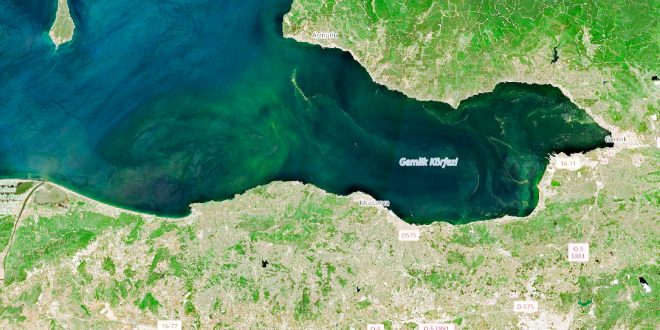MARMARA'DA NELER OLUYOR?