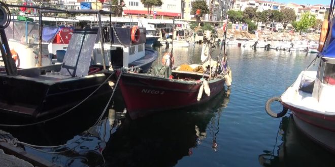 Marmara'nın emektar balıkçıları, müsilaj ve bilinçsiz avlanmadan şikayetçi